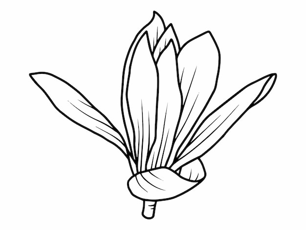 Arte de línea de flor de crisólito