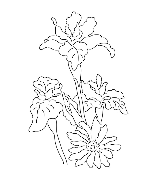 Arte de línea de flor de flor de margarita dibujada a mano
