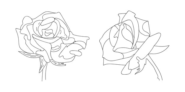 Arte de línea de flor de rosa o adorno de rosa de dibujo a mano