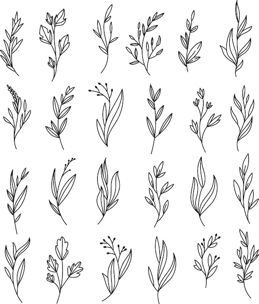 Arte de línea floral botánico minimalista Clipart