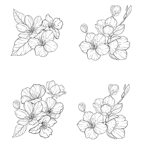 Arte de línea floral, conjunto de ilustración de contorno de flor de sakura, rama de sakura en blanco y negro