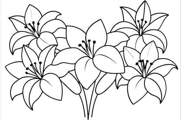 Arte de la línea de flores de Amaryllis