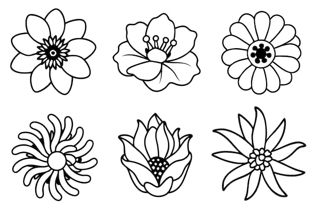 Arte de la línea de flores de anémona