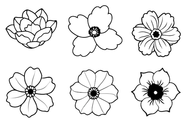 Arte de la línea de flores de anémona