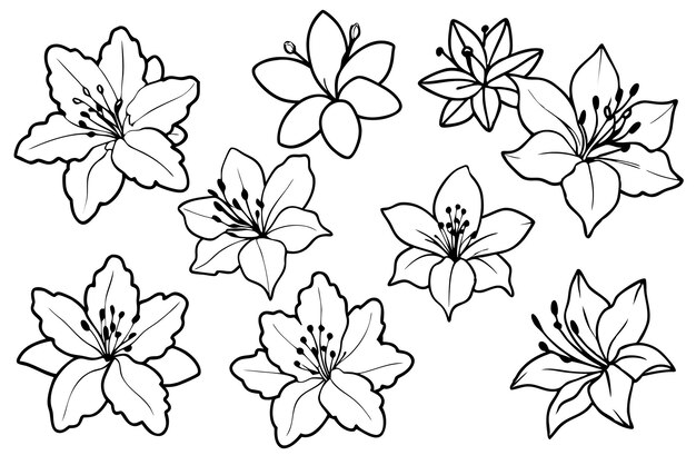 Arte de la línea de flores de azalea