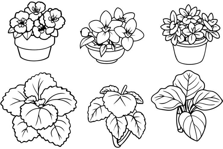 Vector arte de la línea de flores de begonia