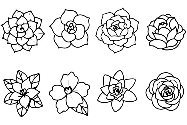 Arte de la línea de flores de camelia