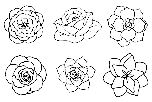 Arte de la línea de flores de camelia
