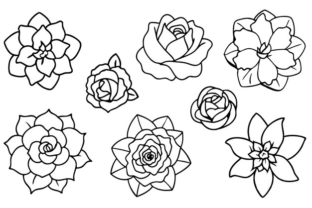 Arte de la línea de flores de camelia