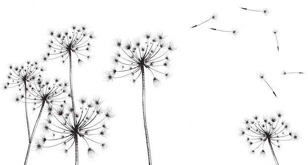 Arte de línea de flores de diente de León
