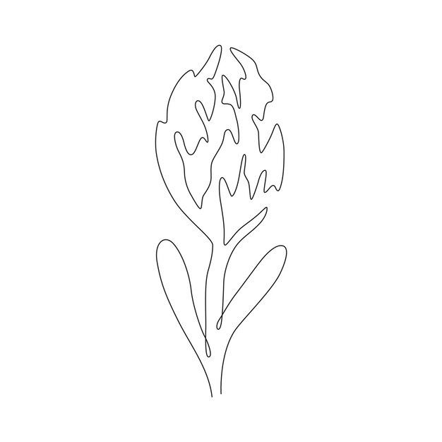 Arte de la línea de flores de Protea