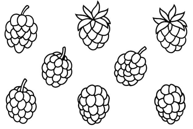 Arte de la línea de frambuesa dibujo fácil paso a paso