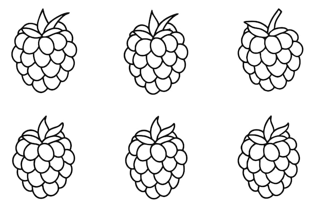 Arte de la línea de frambuesa estilos artísticos dibujados a mano