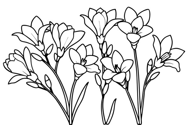 Arte de la línea de Freesia