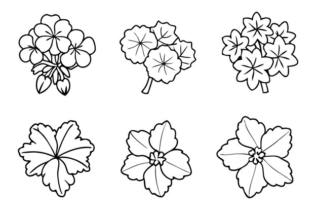Arte de la línea de geranio