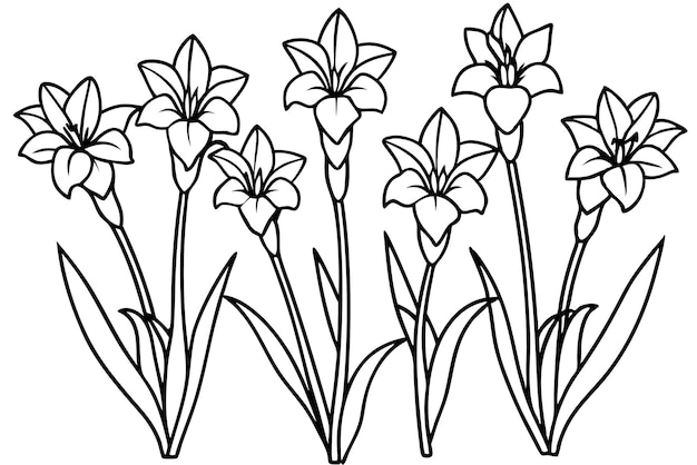 Arte de la línea de gladiolos