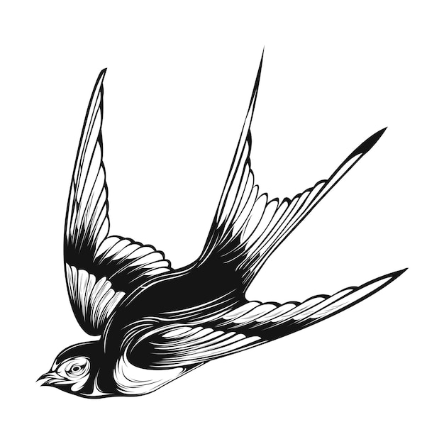 Arte de línea de golondrina voladora