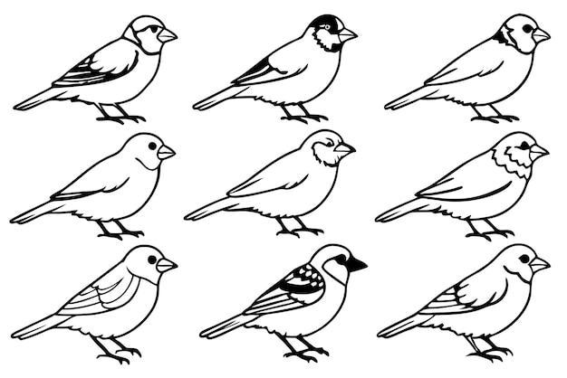 Arte de la línea de gorrión