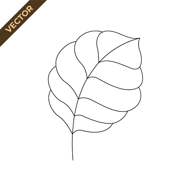 Arte de línea de hojas Elemento de diseño con tema floral