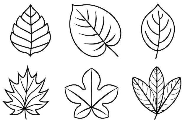 Arte de la línea de hojas exploración creativa y consejos de diseño