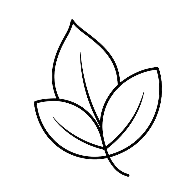 arte de línea de hojas silueta diseño de ilustración vectorial contorno
