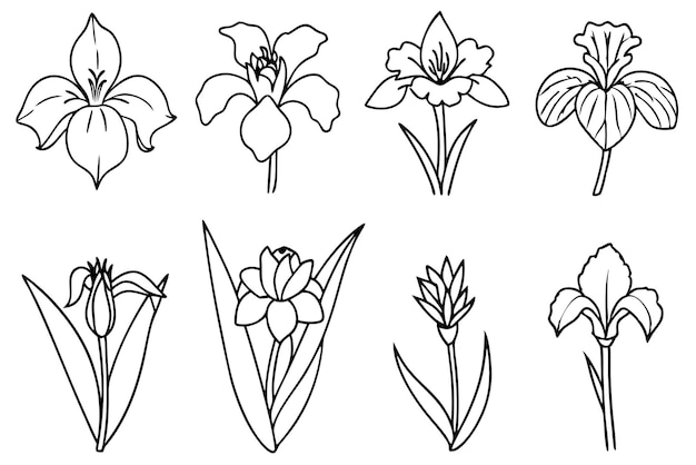 Arte de la línea del iris