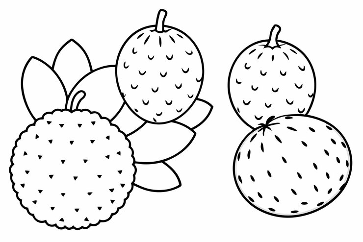 Vector arte de línea de lichi tema de fruta lúdico dirección de diseño vibrante