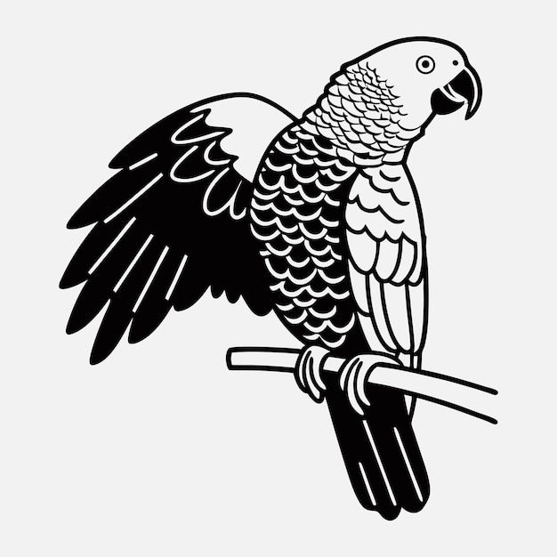 Arte de la línea del loro gris africano Ilustración de fondo blanco