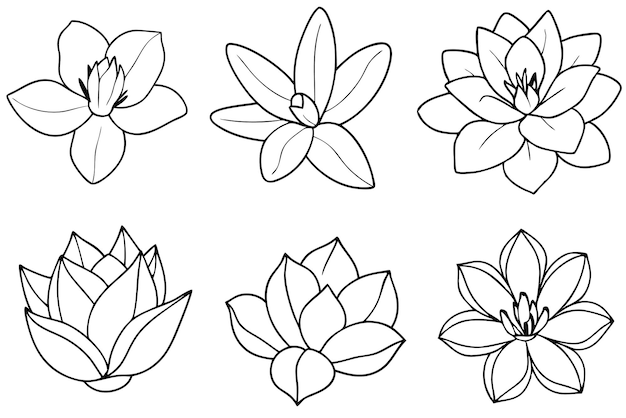 Arte de la línea de la magnolia