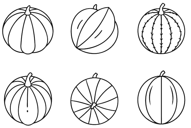 Arte de la línea de melón dibujo a mano detallado impresionante