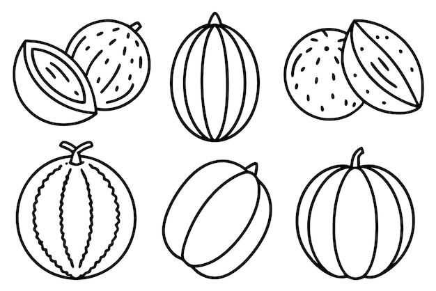 Arte de la línea de melón dibujo simple y elegante
