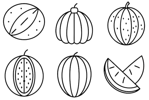 Arte de la línea de melón expresión artística única