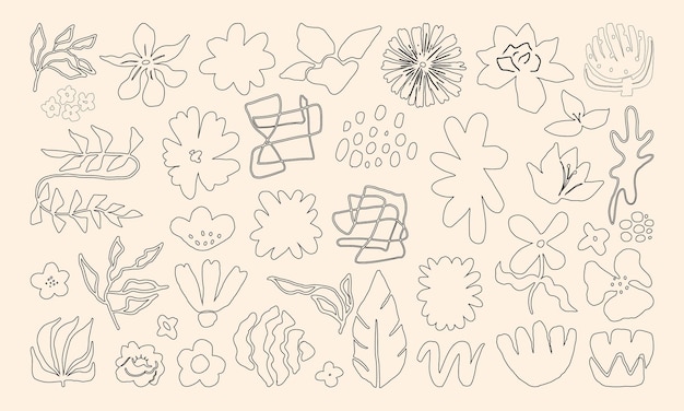 Arte de línea minimalista de naturaleza abstracta dibujado a mano. Dibujo lineal Flores y hojas Vintage moderno.