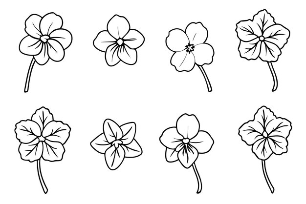 El arte de la línea de Nasturtium