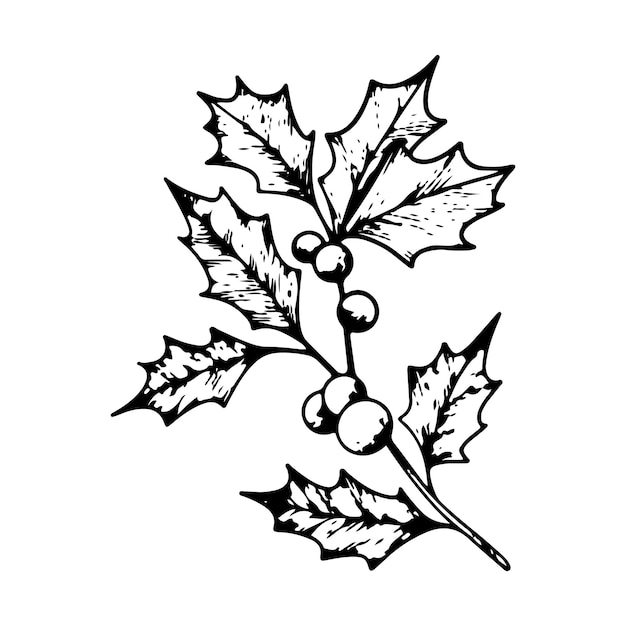 Vector arte de línea navideña de ramas de ilex con bayas holi hojas botánicas winterberry gráfico ilustración de contorno pintado a mano para la tarjeta de invitación de boda