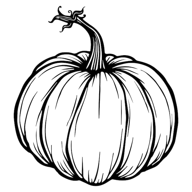 Arte de la línea negra calabaza SVG