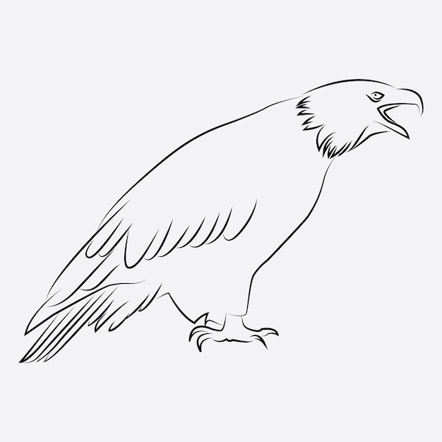 Vector arte de línea de pájaro águila