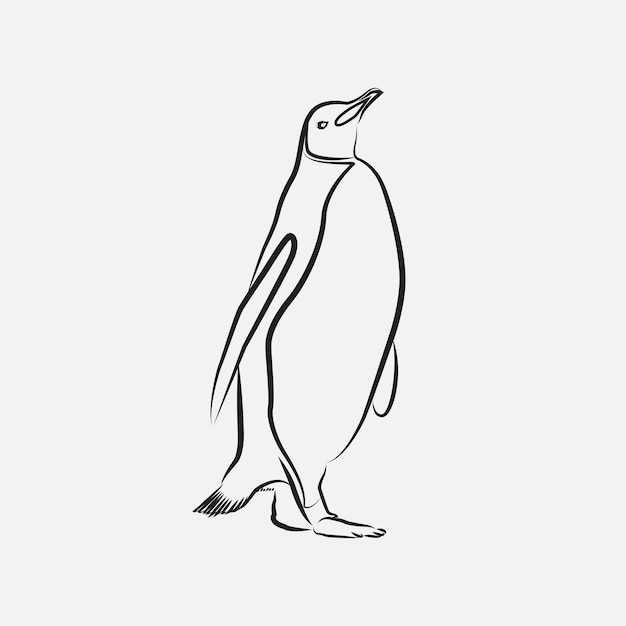 arte de línea de pájaro pingüino