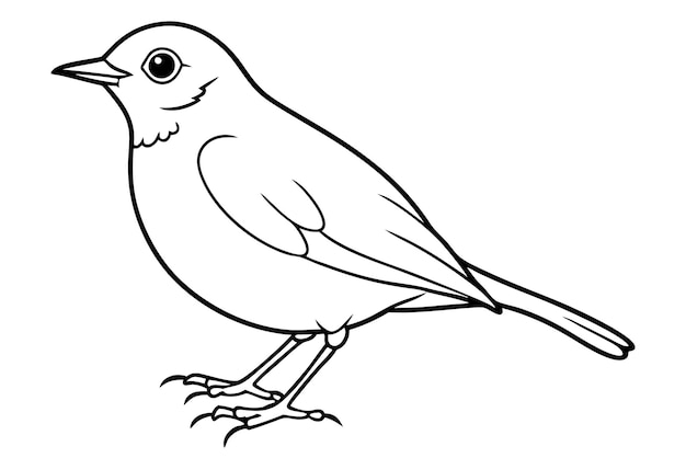 El arte de la línea de pájaros Robin