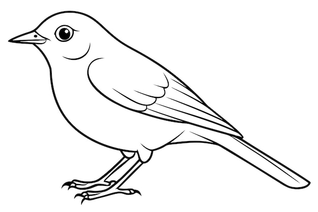 El arte de la línea de pájaros Robin