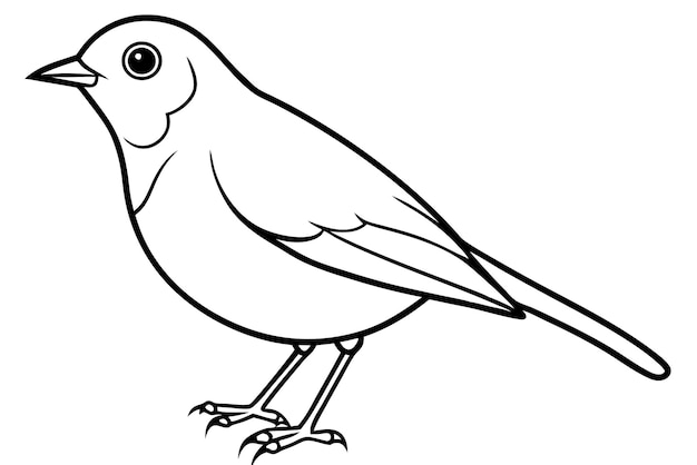 El arte de la línea de pájaros Robin