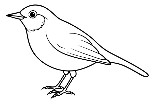 El arte de la línea de pájaros Robin