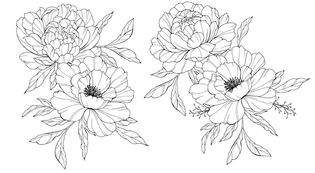 Arte de la línea de la peonía Buquetes y flores de peonía florales de moda Dibujo de la línea botánica Colección de peonías