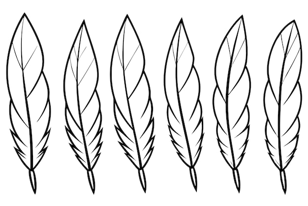 Arte de la línea de plumas