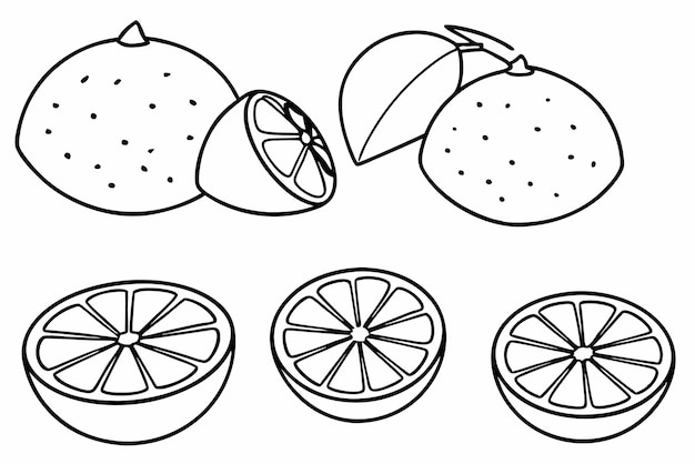 Arte de la línea de pomelo diseño contemporáneo de frutas dirección artística inspirada