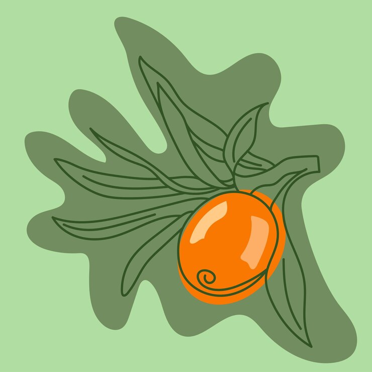 Vector arte de la línea de la rama del espino marino