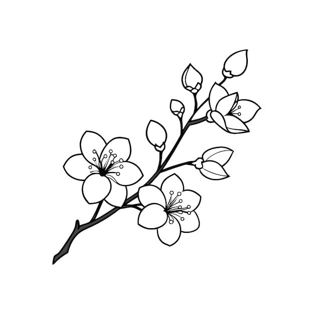 arte de la línea de la rama de la flor de cerezo