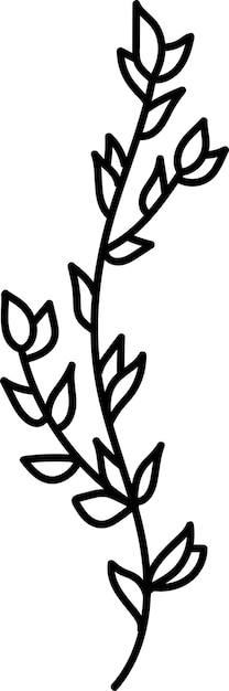 Arte de línea de rama floral
