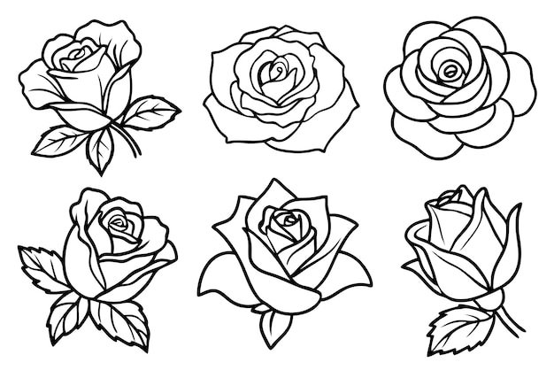 arte de línea rosa