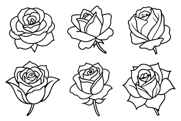 arte de línea rosa